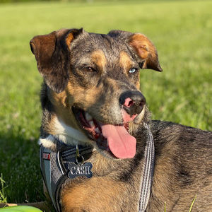 Meet your Posher, Alan